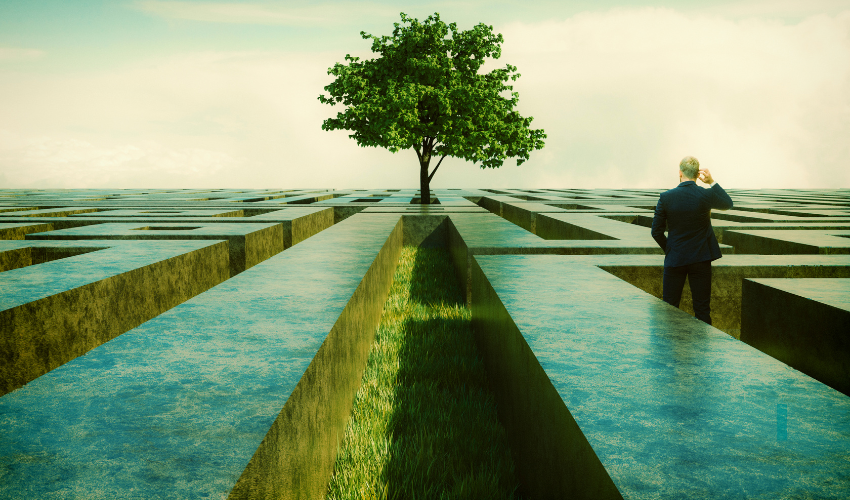 A man in a business suit looking towards a single tree in the middle of a labyrinth, signifying strategic navigation through complex project planning and what is a project.