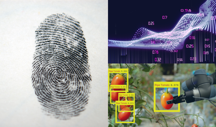 a three-part image with a fingerprint, a robotic arm choosing a ripe tomato signal and a digital wave with numbers.