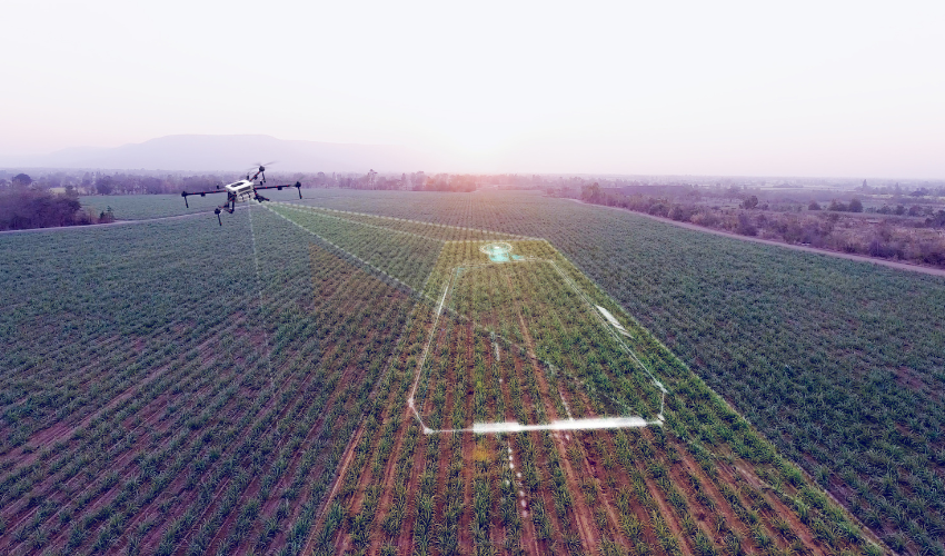 a drone screening a farming land.